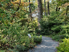 Atlanta-Botanical-Garden